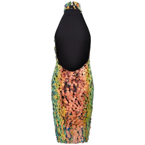 Sequin Mini Dress - Dresses