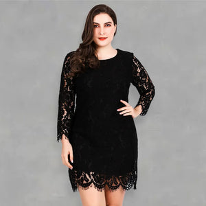 Women’s Solid Color Embroidered Lace Overlay Three Quarter